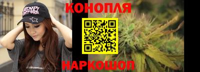 мдпв Шелехов