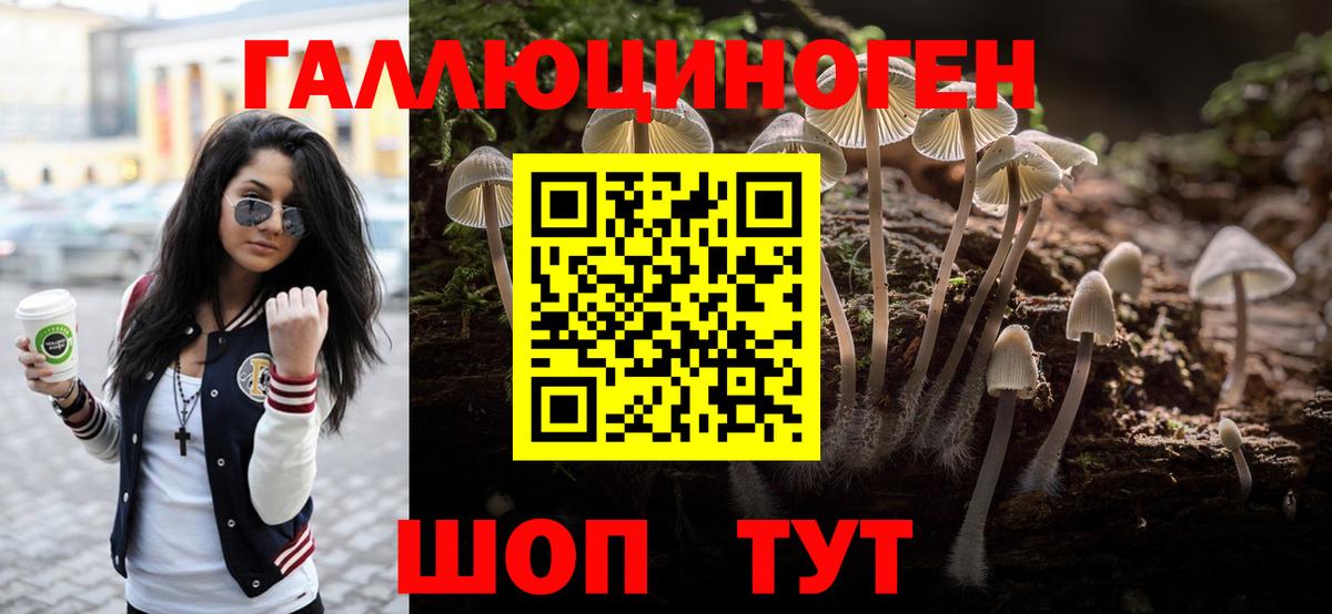 Галлюциногенные грибы мухоморы Азнакаево